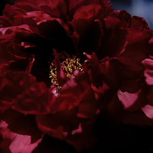 小婷好湿⋯好紧⋯太爽了视频
